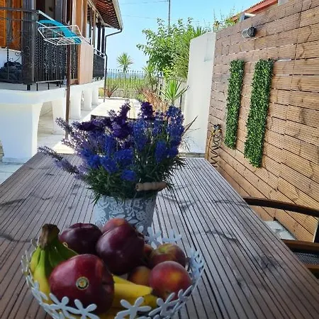 Oasis House *