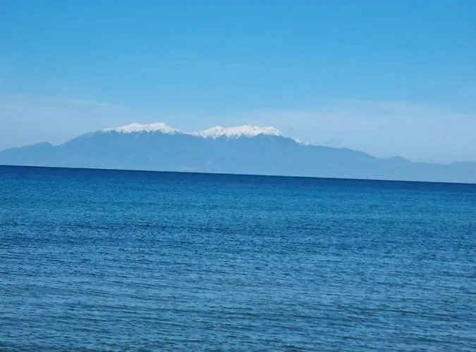 Oasis House 别墅 *