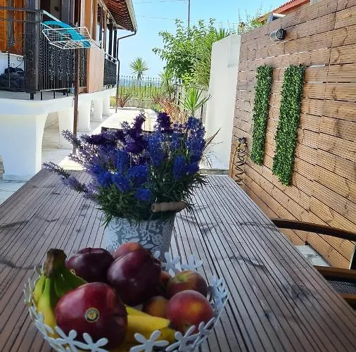 Oasis House *